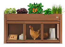 CooltyBCN farm mini